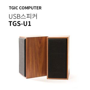 TGIC PC스피커/TGS-U1/우드타입/깔끔디자인/우퍼